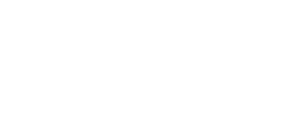 Drippé Homes Logo